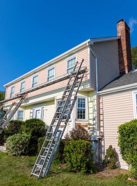 Shed Removal in Woodbine, NJ
